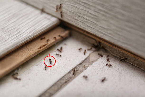 Best Wildlife Control Services  in Fort Branch, IN
