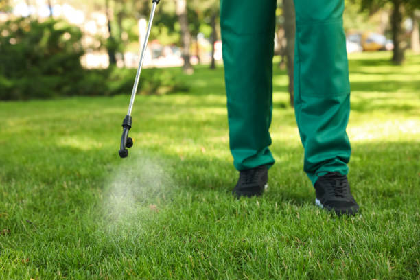 Best Best Pest Control Companies  in Fort Branch, IN