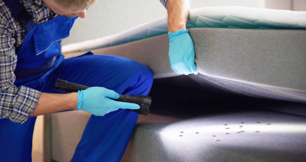 Best Bed Bug Extermination  in Fort Branch, IN