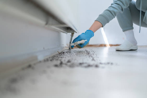 Best Wasp Removal Services  in Fort Branch, IN